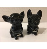 Chihuahua and French bulldog - money box