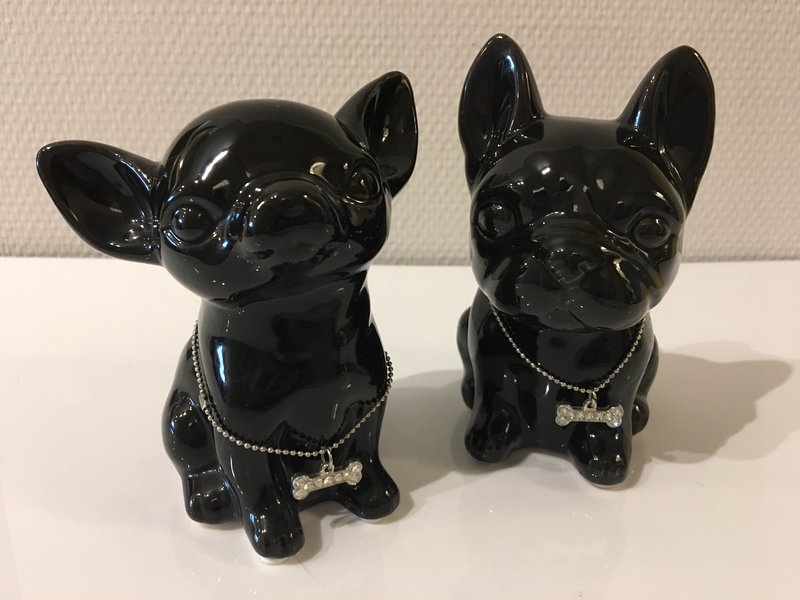 Chihuahua y bulldog francés -  caja de dinero