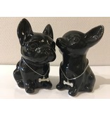 Chihuahua y bulldog francés -  caja de dinero