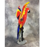 Colorful Scarlet Macaw parrot of glass