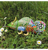 Toms Drag Camilla camaleónica, reptil, Lagarto