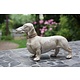 Dachshund, Teckel