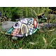 Set of two turtles Elton