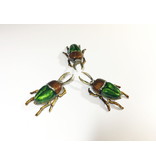 Beetle brown with green - box for pills