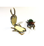 Beetle brown with green - box for pills