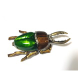 Beetle brown with green - box for pills