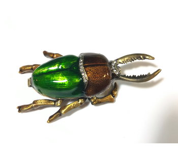 Pillbox Beetle