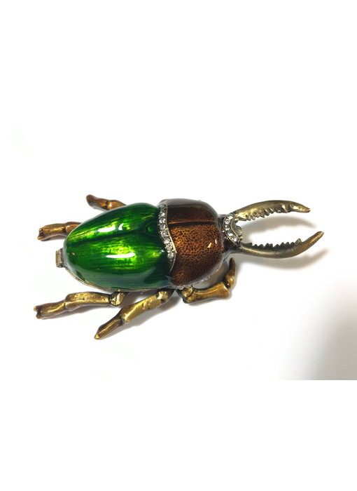 Pillbox Beetle