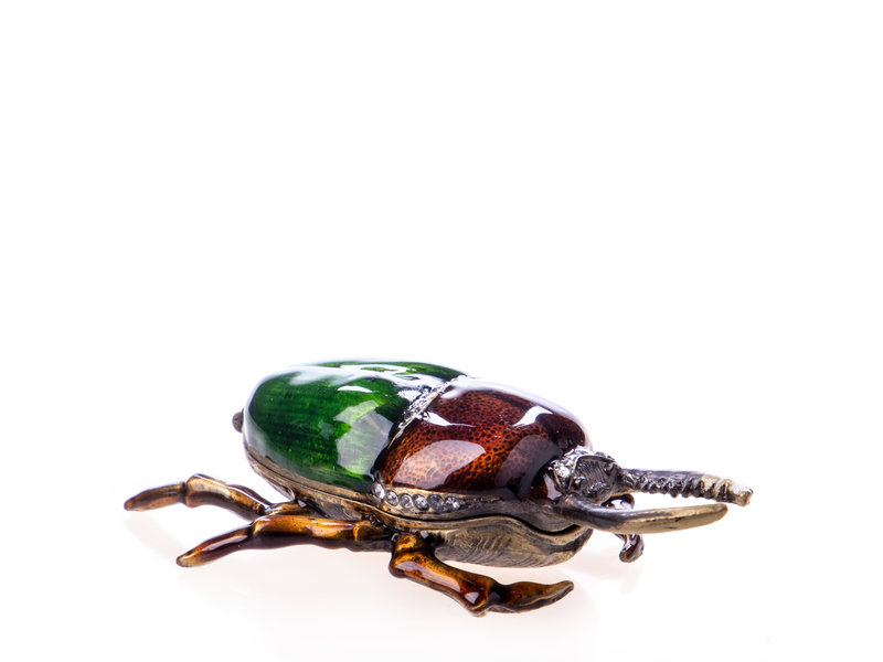 Escarabajo marrón con verde - caja para pastillas