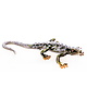 Pillbox Gecko