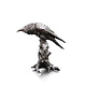 Raven on tree stump