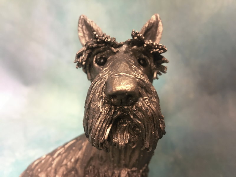 Frith Schnauzer de pelo duro - Frazer Scotty,  Veronica Ballan