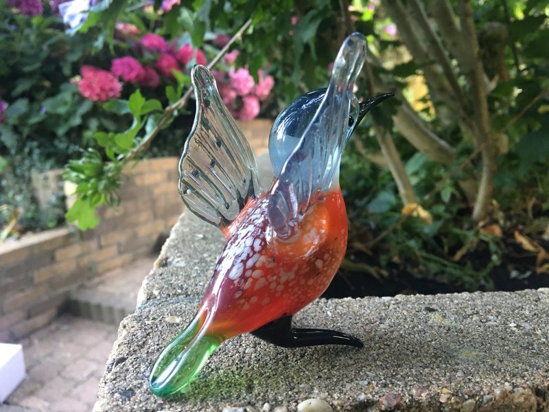 Loranto Vetro Eisvogel mit erhobenen Flügeln