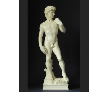 Mouseion Michelangelo's David -  Michelangelo