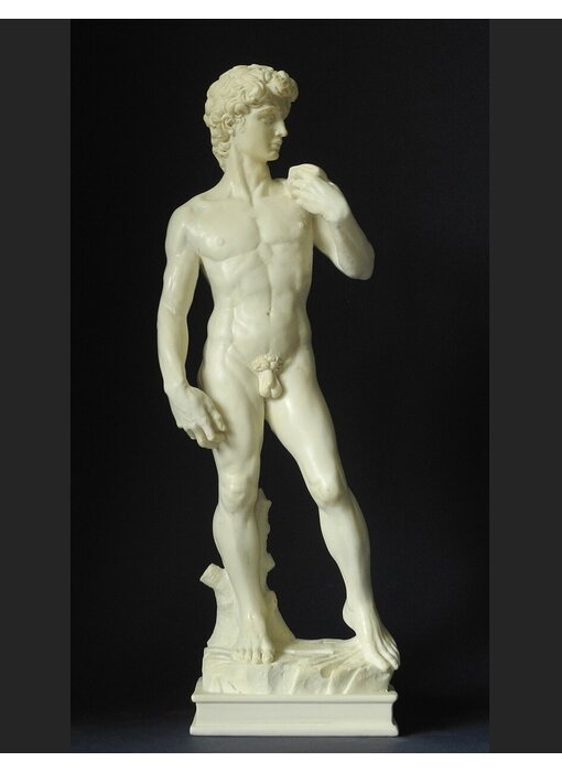 Mouseion Michelangelo's David -  Michelangelo