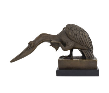 Bronze Pelican