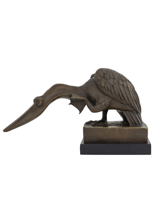 Bronze Pelican