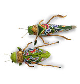 Toms Drag Sprinkhaan sculptuur