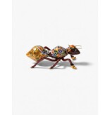 Toms Drag Juffrouw Mier-  insect