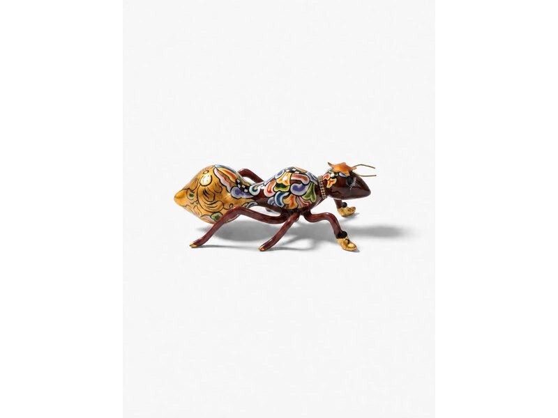 Toms Drag Juffrouw Mier-  insect
