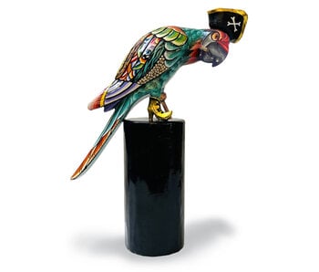 Toms Drag Papageienpirat “Capt. Jack S.