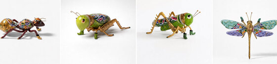 Colección de insectos y jardín   