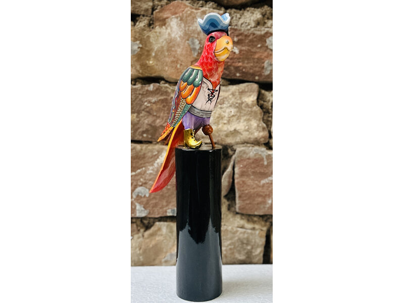 Toms Drag Pirate Parrot Francis D – colourful decorative parrot
