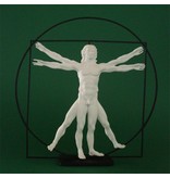 Mouseion The Vitruvian man - Mens van Vitruvius wit in zwart kader