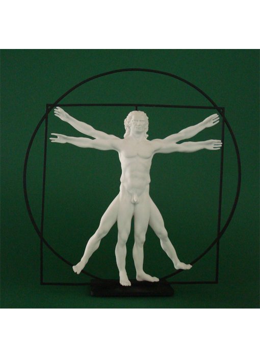 Mouseion The Vitruvian Man  - white