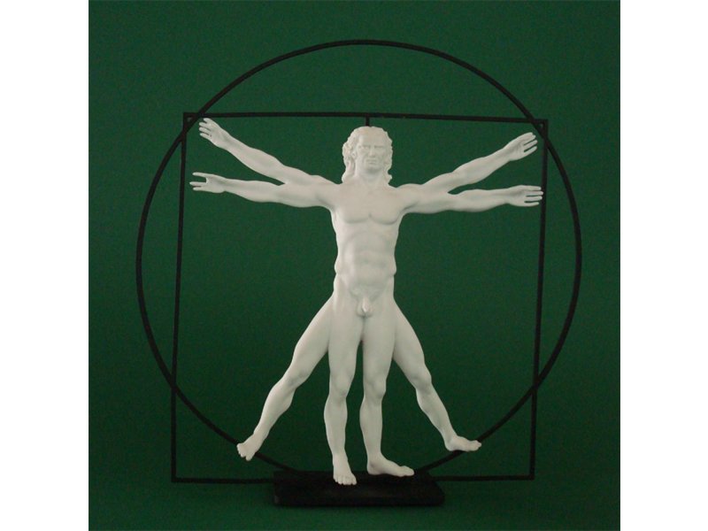 Mouseion The Vitruvian Man - white colored