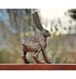 Frith Hare sculpture Timothy