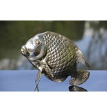SEA LIFE - MGM Tropische vis in verzilverd brons