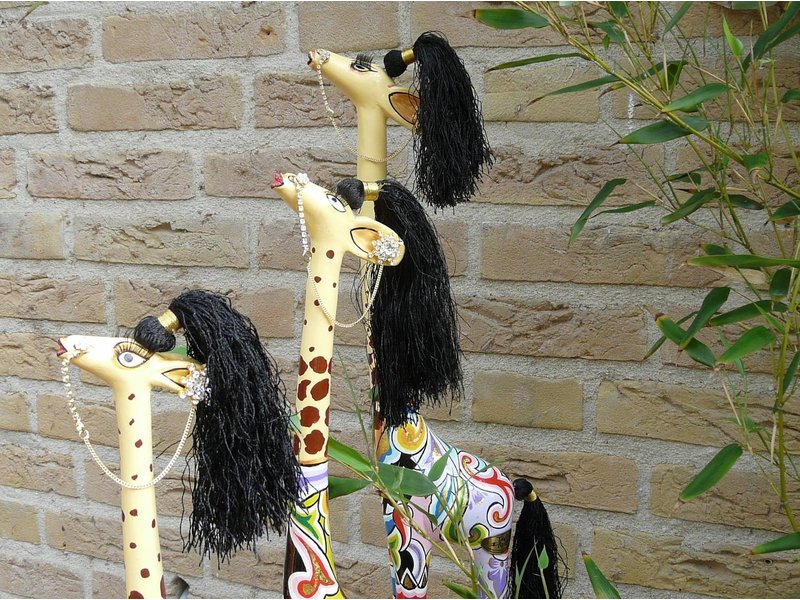 Toms Drag Giraffe Carmen