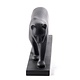 Schwarzer Panther