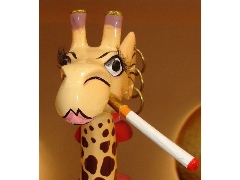 Toms Drag Giraf XL - Roxanna de Luxe 150 cm
