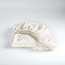 Cinderella Hoeslaken Satijn Ivory (ivoor)