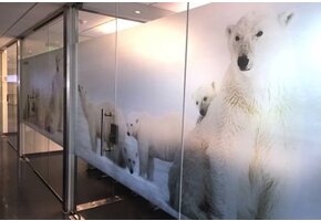 PrintEtched Glas printfolie- ASLAN DFL-210  - 137 cm