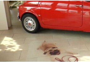 Print-Vloer folie - R13 slipklasse ASLAN DFP-44  - 137-cm