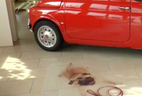 Print-Vloer folie - transparant - R13 slipklasse ASLAN DFP-44  - 137-cm