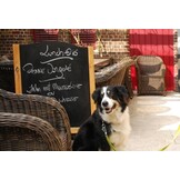 Aslan CR 62 Blackboard Basic | Krijtbordfolie per meter