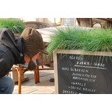 Aslan CR 62 Blackboard Basic | Krijtbordfolie per meter