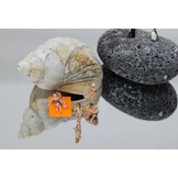 ASLAN -SE-76-Spiegel folie - kras bestendig 125cm breed - PET Enkelzijdig, Easy apply