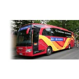 ORAJET® 3550 Polymere PVC film 70 micron - per rol