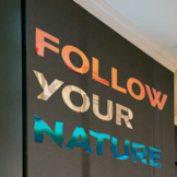 ASLAN SE 71 ColourShift Opaque | Maak Marge met Dichroïde Effecten