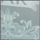 Zandstraal folie Aslan S62 Translucent