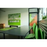 Gekleurde folie Etch effect 125 cm Aslan EC 55  Translucent