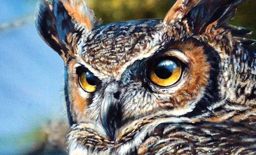 Canvas door de geschiedenis heen