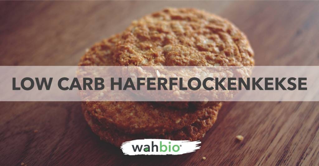 Low Carb, Proteinreiche haferflockenkekse