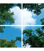 Fotodruckbild Wolken und Wälder 120x120cm für 4x 60x60cm Led-Platte