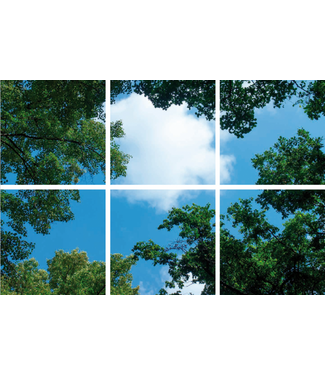Fotoprint afbeelding Wolken en Bos 180x120cm voor 6x 60x60cm led paneel